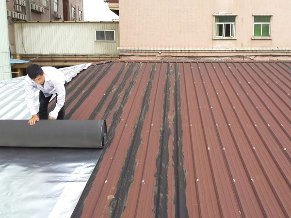 飞舞舞蹈艺术防水工程